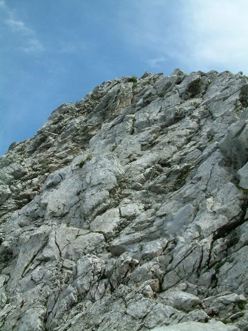 img/rg/296-0110.jpg