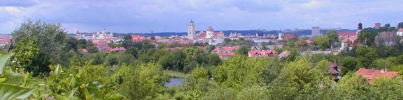Area view of Vilnius