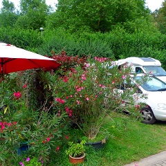 img/camping/0908-de-hirzberg-243a.jpg