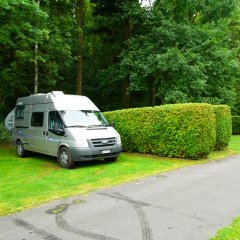 img/tn/0809-169-polen-915.jpg