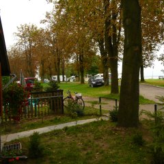 img/tn/0809-42-polen-884.jpg