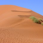 Dune in Sossusvlei