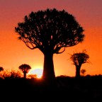 Namibia - Oct  2000