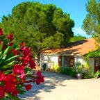Camping in St-Martin d'Ardèche