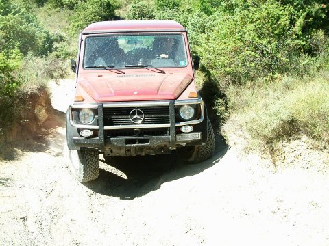 img/rg/4scf0009.jpg