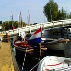 Willow scenery with sail boasts