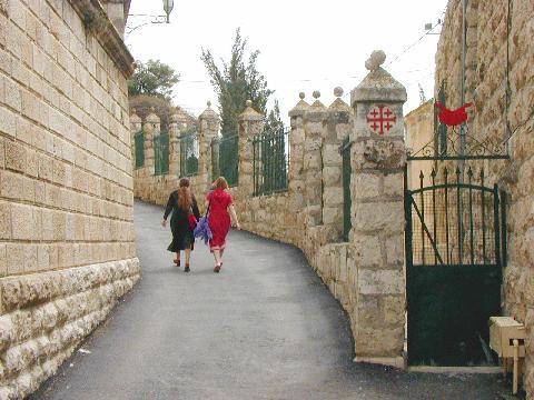 img/pic00117.jpg