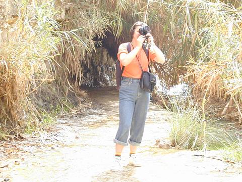 img/pic00192.jpg